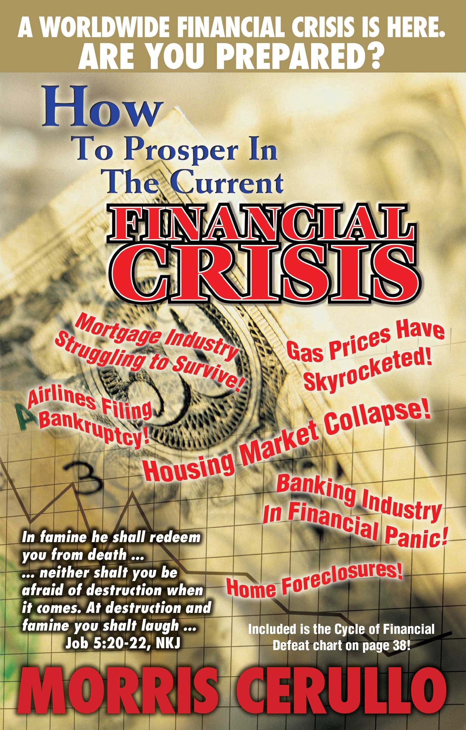 Cover of How to Prosper in the Current Financial Crisis